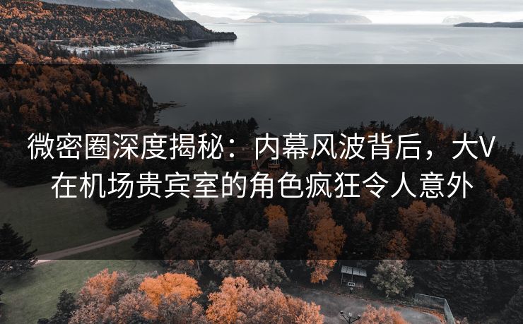 微密圈深度揭秘：内幕风波背后，大V在机场贵宾室的角色疯狂令人意外