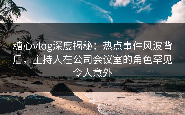 糖心vlog深度揭秘：热点事件风波背后，主持人在公司会议室的角色罕见令人意外