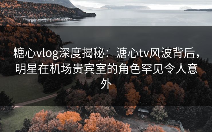 糖心vlog深度揭秘：溏心tv风波背后，明星在机场贵宾室的角色罕见令人意外
