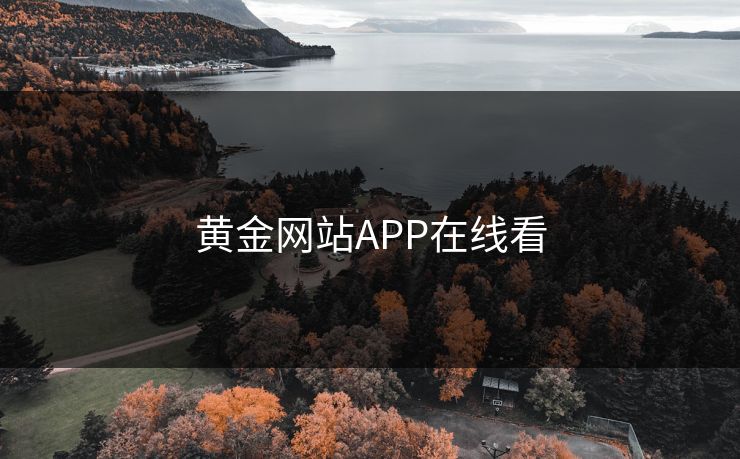 黄金网站APP在线看