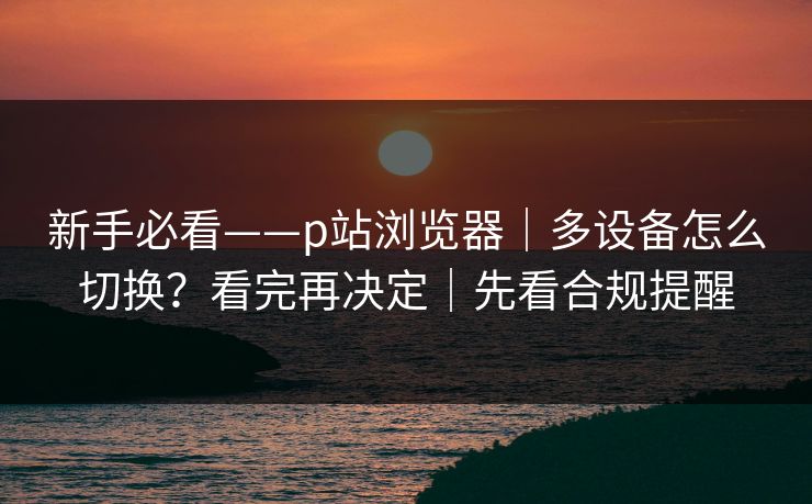 新手必看——p站浏览器｜多设备怎么切换？看完再决定｜先看合规提醒
