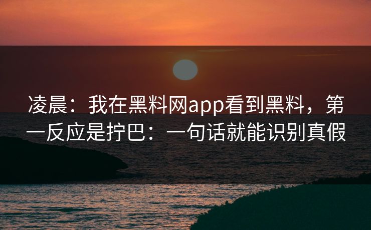 凌晨：我在黑料网app看到黑料，第一反应是拧巴：一句话就能识别真假